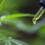 Los productos de cannabis que favorecen la salud de Arkano CBD